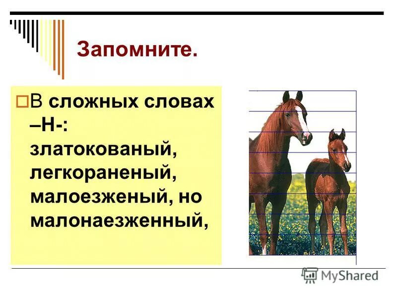 В городе н слова. Сложные слова на н. златокованный. запомните для презентации. сложные слова в литературе.
