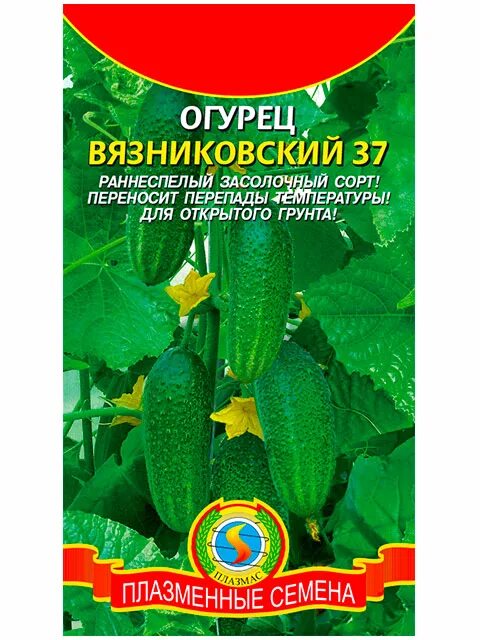 Семена огурец Поиск Вязниковский 1 уп. - купить в FERMERZ, цена на Мегамаркет