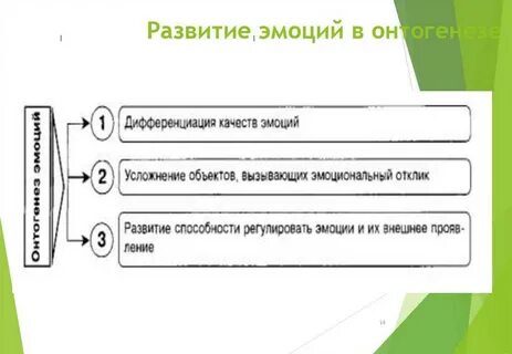 Онтогенезе эмоционального развития