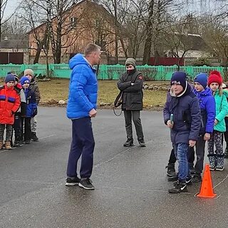 Вести 6