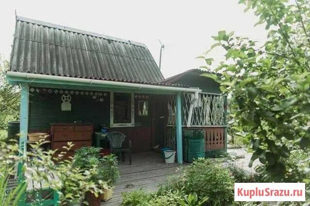 Дачи малого аэропорта хабаровск. Хабаровское снт. ля дача хабаровск.