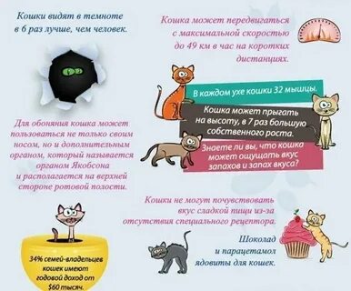 Факты про кошек
