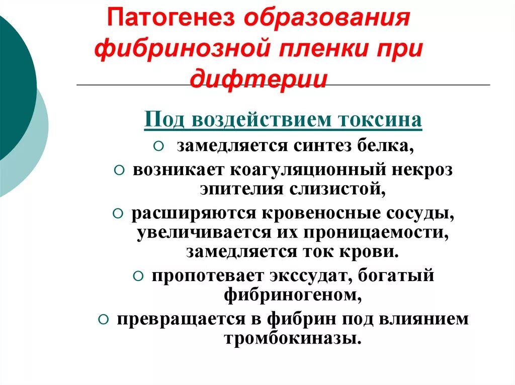 Механизм образования фибринозной пленки дифтерия. Патогенез образования пленок при дифтерии. Механизм образования дифтерийной пленки. Образование фибриновой пленки при дифтерии.