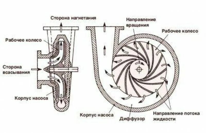 Устройство центробежного насоса. Центробежные насосы схема принцип действия. Центробежные насосы схема принцип действия. Схема пуска насоса центробежный насос. Насосы схема принцип работы.