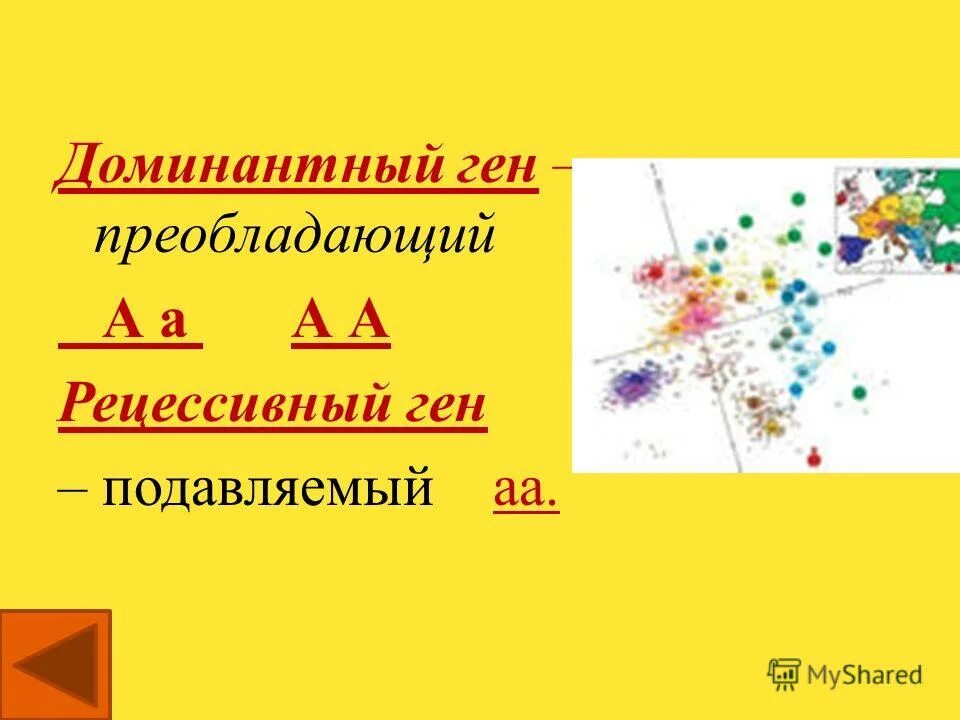 Доминантный ген. Доминантные и рецессивные гены. Рецессивный ген. Доминантный ген это ген. Подавляемый признак доминантный рецессивный