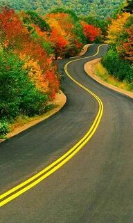 Road let