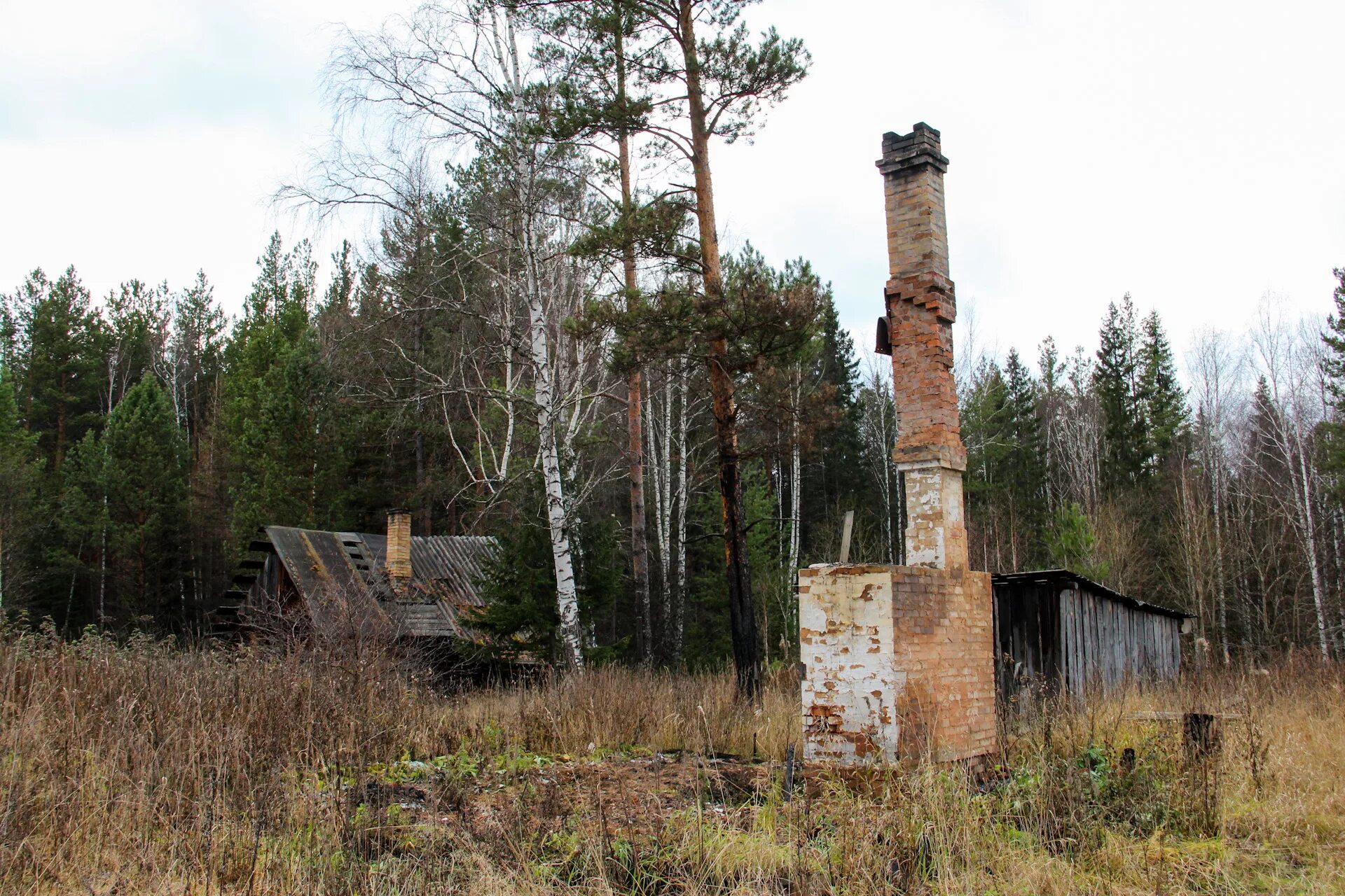 Красные камни севастополь. Кордон красный камень. Кордон тарьер крымский природный заповедник. Адуйский кордон. Кордон камень.