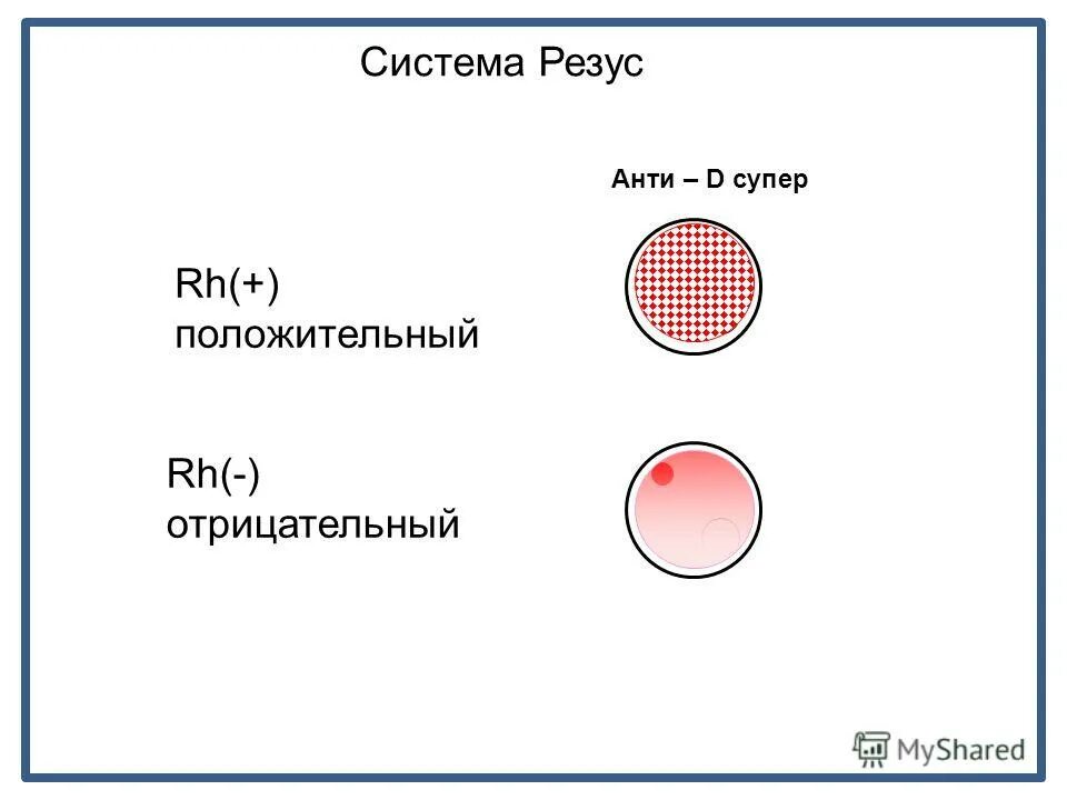 Подбоpка пpезентаций и лeкций по Тpансфузиoлогии #Трансфузиология@studmedlib 201