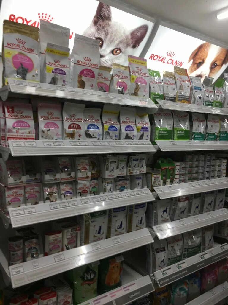 зоомагазин воронеж каталог. ежик зоомагазин. зоомагазин ежик. ежик зоомагазин. ежики из зоомагазина.