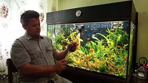 Как сифонить аквариум