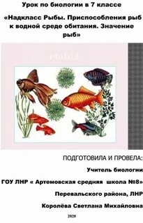 Приспособление рыб к условиям обитания 7 класс