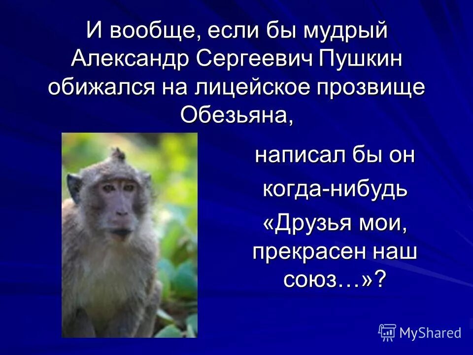 Пословица про обезьянку. Маленькая обезьянка составить предложение. Загадка про обезьяну. Сказка про мартышку. Разделительный мягкий знак в слове обезьяна.