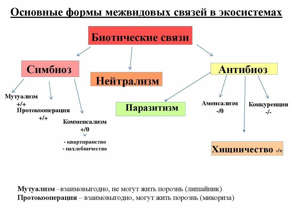 Связей это и есть основное. Типы взаимоотношений организмов схема. Типы межвидовых взаимоотношений схема. Типы форм взаимоотношений между организмами. Формы взаимоотношений между организмами схема.