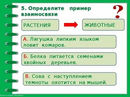 Невидимые связи окружающий мир