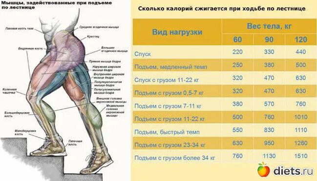 Подняться на этаж сколько калорий. Подъем по лестнице калории. Подъем по лестнице ккал. Ходьба по лестнице ккал. Ккал при подъеме по лестнице.