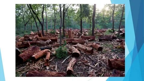 The environment consequences