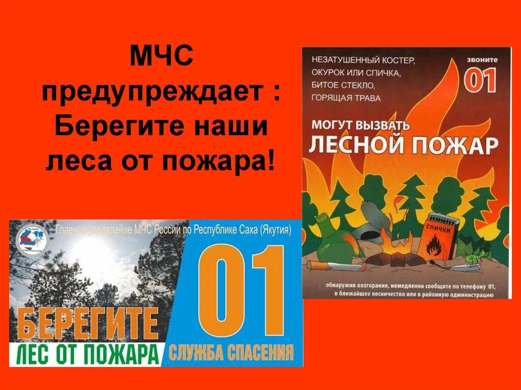 Лесной пожар 3 класс. Лесные пожары презентация. Презентация на тему пожар в лесу. Презентация берегите лес от пожара. МЧС предупреждает Лесные пожары.