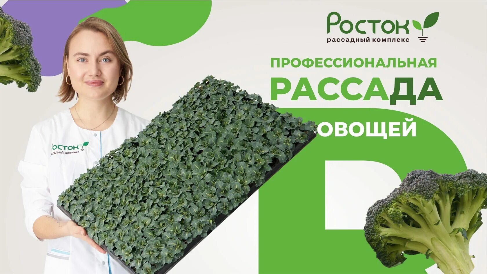 Тепличный комплекс Росток. Рассадный комплекс. Рассадный комплекс Росток Волгоградская область. Ростки рассады. Росток казань