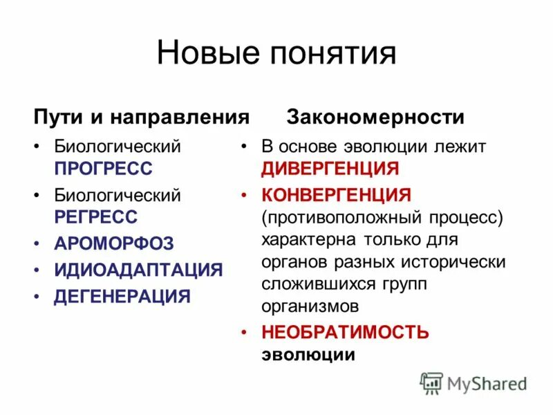 Понятие биологическому прогрессу