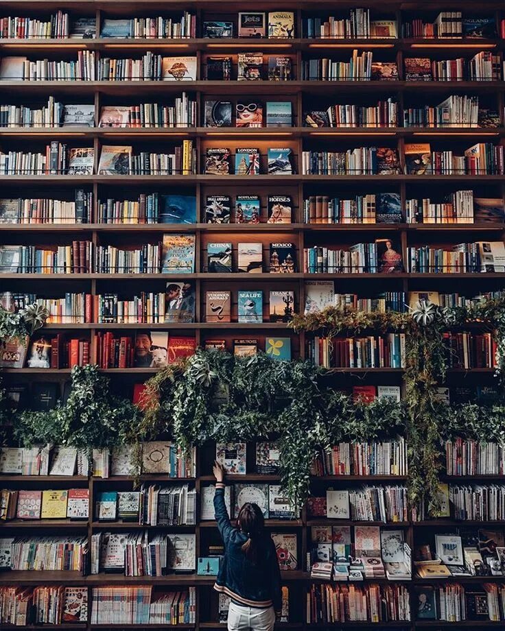 Books in my life. The last bookstore, лос-анджелес, сша. Библиотека фишера торонто подлинник шекспира. Библиотека ускюдар. My book store.