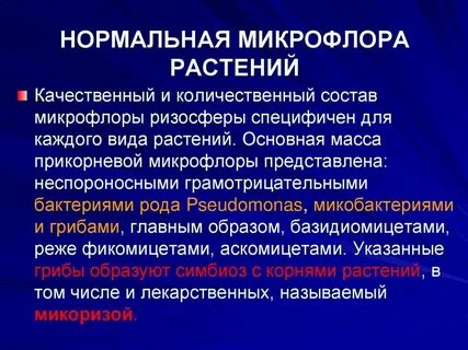 Качественный и количественный состав микрофлоры