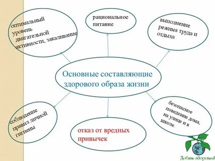 Таблица составляющая здорового образа жизни