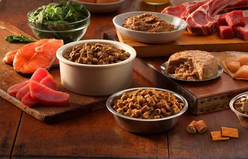 Смешанное питание для собак. Натуральное питание для собак. Еда для собак. Смешанное питание для собак. Миска с едой для собаки натуралкой.