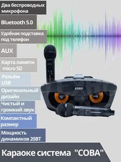 Караоке система с двумя микрофонами