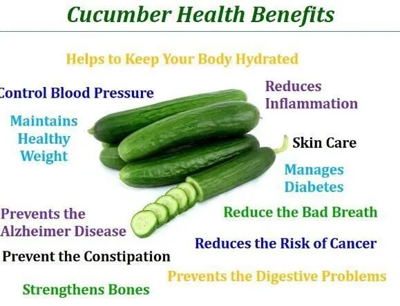 Art fact cucumber. Art fact cucumber. Art fact cucumber. Cucumber питание. Cucumber питание.
