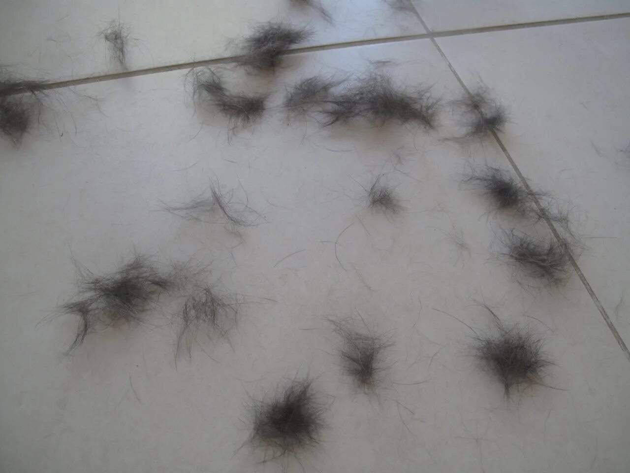 Шерсть на полу. Собачья шерсть на полу. Ковер современный мягкий. Кошачья шерсть на полу. Белый пушистый ковер.