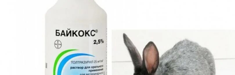 Байкокс инструкция для птиц. Байкокс 2.5 для кроликов. Байкокс от кокцидиоза кроликов. Байкокс 5 для кроликов. Байкокс для кроликов дозировка.