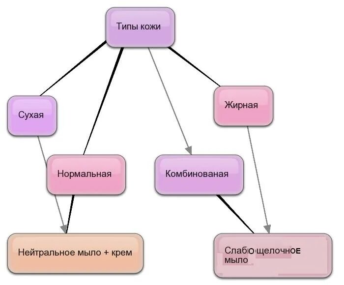 1 из видов кожи. Виды кожи схема.