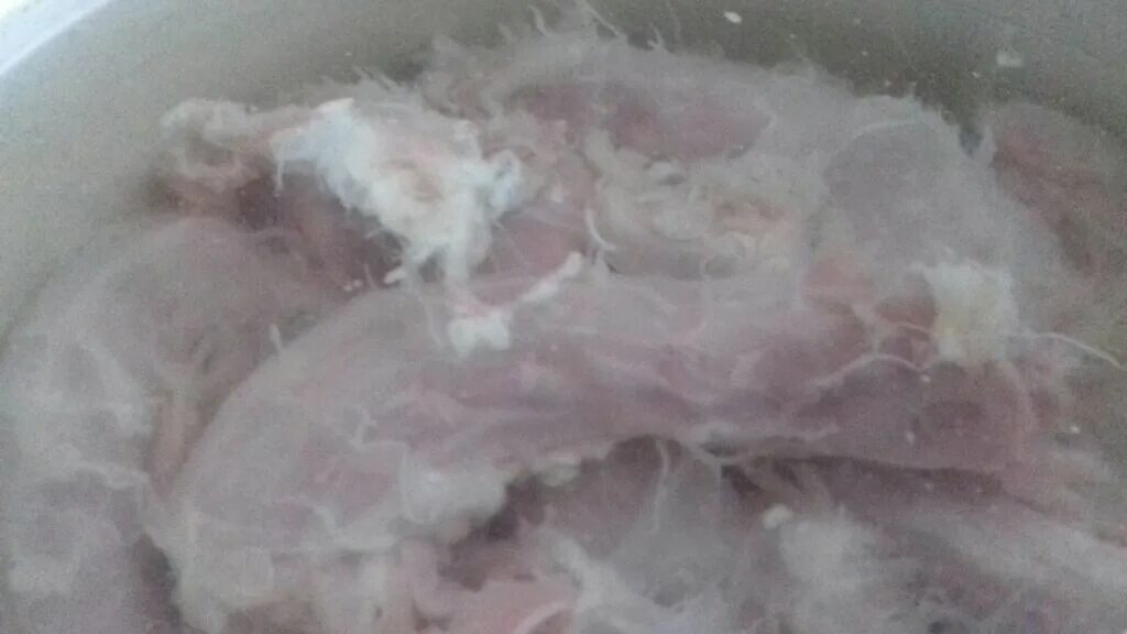 Можно ли котам куриные шеи. Куриные шейки в пакете.