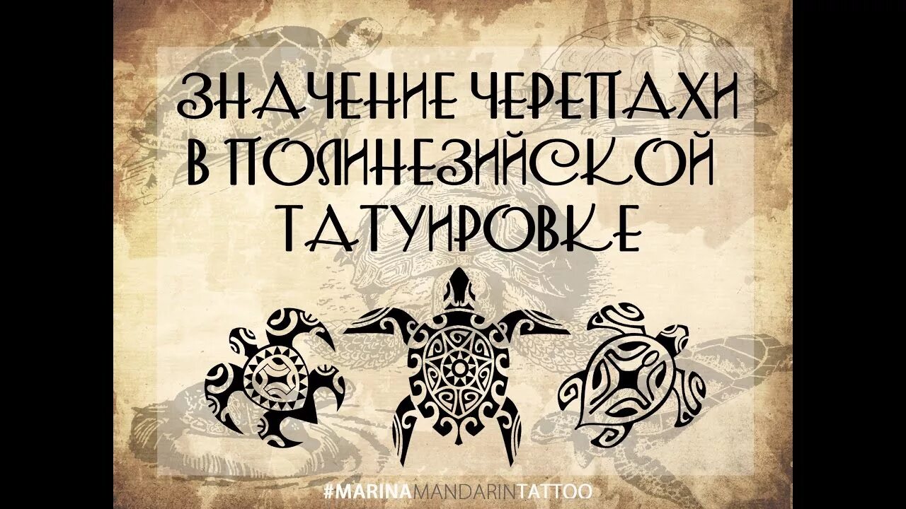 Черепаха значение символа. Значение черепахи. что означает черепаха. полинезия черепаха значение читать. значение черепах.