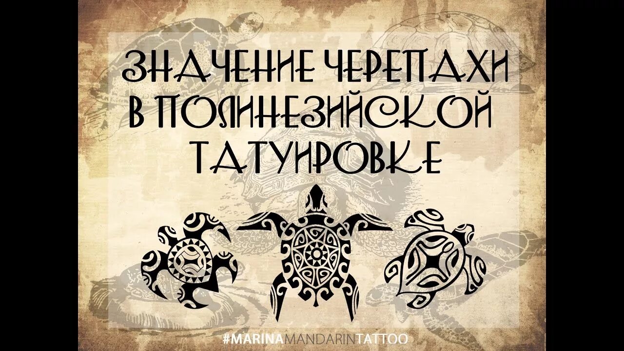 Черепаха значение. Символ черепахи в культуре. Полинезийская черепаха тату. Черепаха талисман значение. Черепаха символ значение.