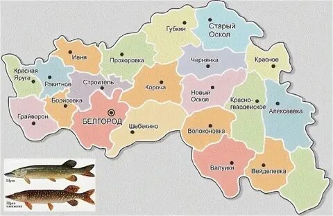 Автостанция красная яруга
