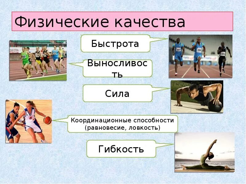 Неправильно названные физические качества несколько ответов. Физические качества картинки. физическая качества для 1-4 класс. физическое качество сила презентация. карточки физические качества.