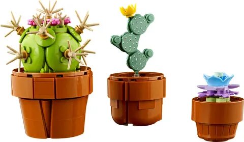 Tiny plants