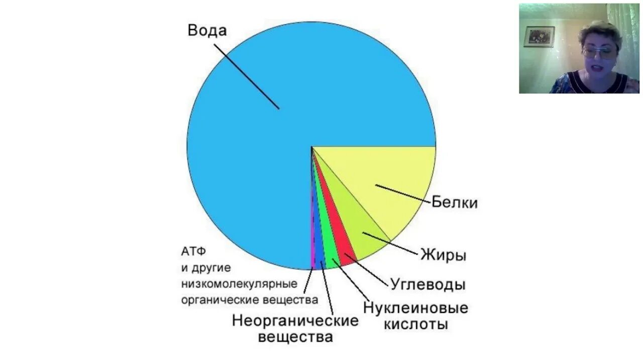 Процентное содержание клетки. Химический состав клетки диаграмма.