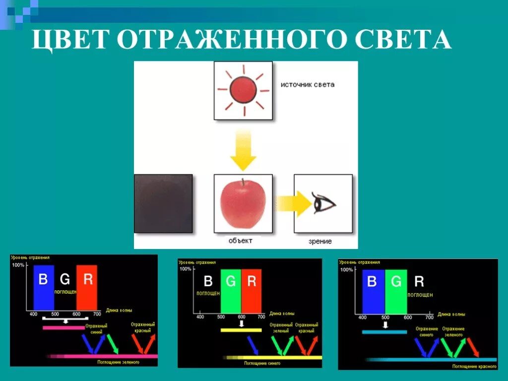 Как предметы отражают свет