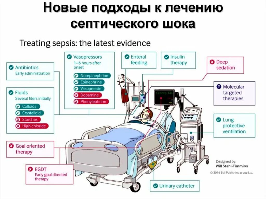 Интенсивная терапия септического шока. Интенсивная терапия септического шока