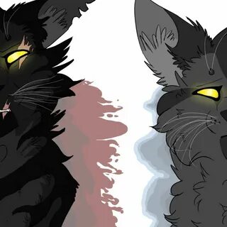 Частокол коты