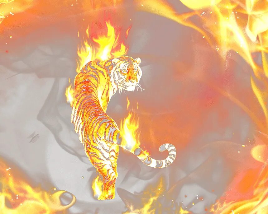 Пламенный тигр. Тигр в огне. Фаер тайгер. Огненный тигр аниме. Тигр пламя сансары.
