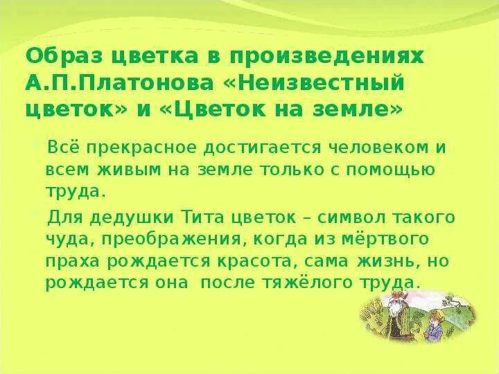 Рассказ цветок на земле какой цветок. Основная мысль рассказа цветок на земле. Неизвестный цветок смысл произведения. Произведение цветок на земле. План неизвестный цветок.