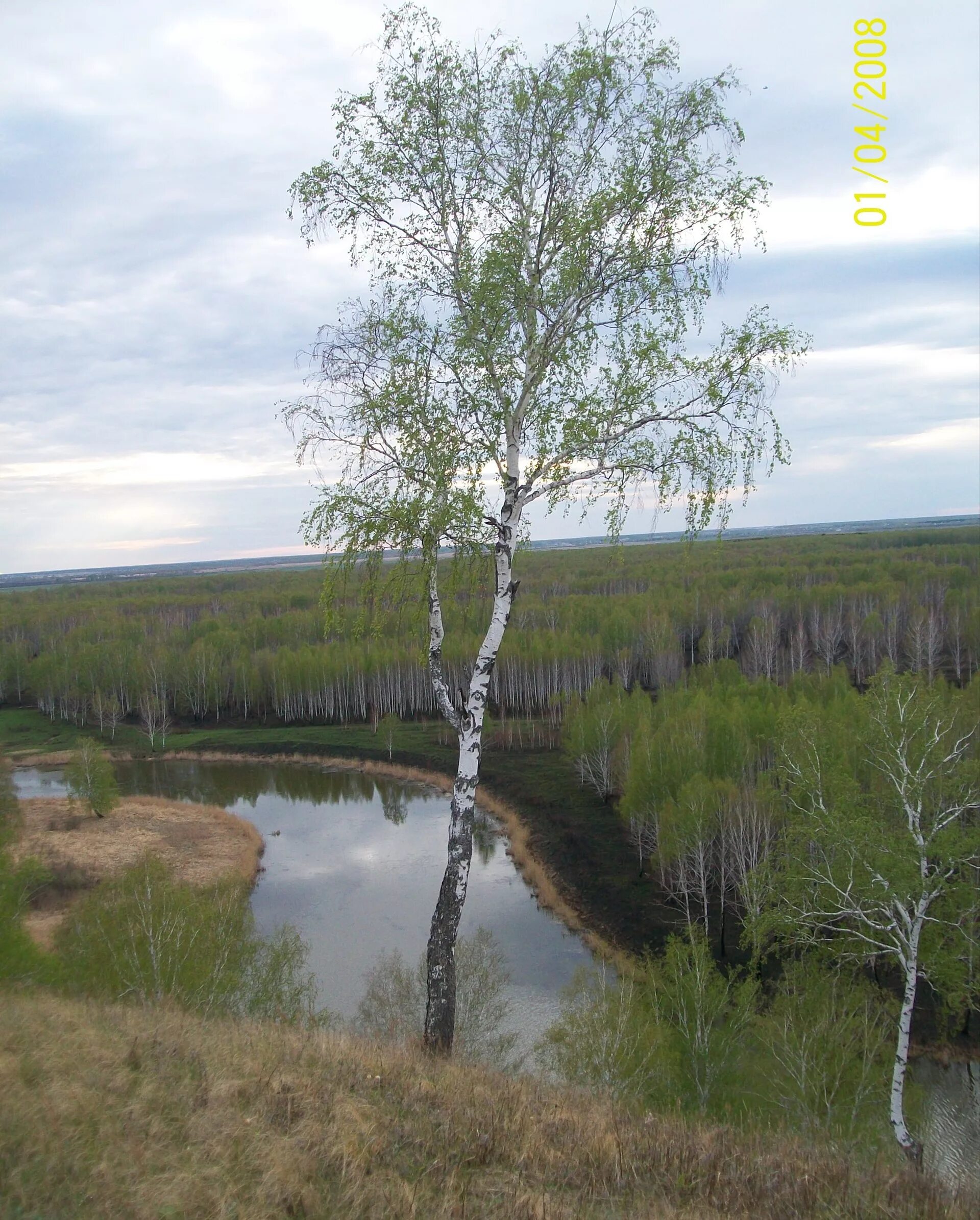 Памятники природы тюменской области. Река Ишим Тюменская область. Природа Ишима Тюменской области. Река Ишим Сибирь. Реки Юга Тюменской области.