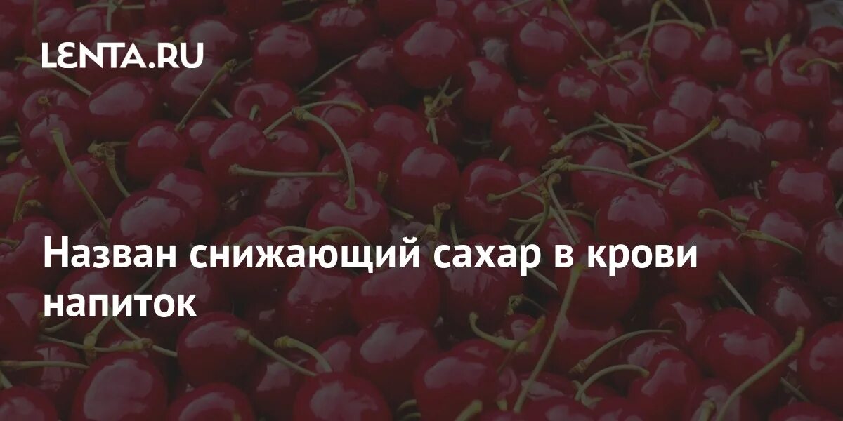 В гамете вишни содержится 8. В гамете вишни содержится 8