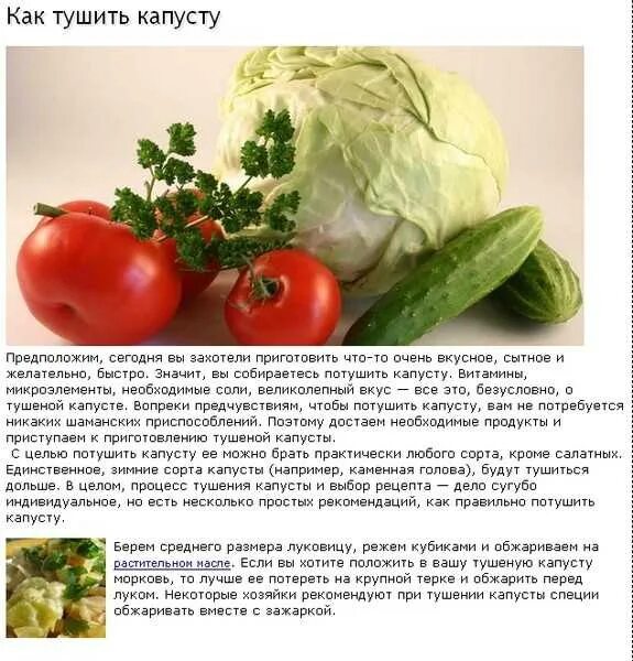 Можно ли собакам пекинскую капусту. Необходимые микроэлементы для капусты. способы тушения капусты. можно похудеть на тушеной капусте. тушим свежую капусту.
