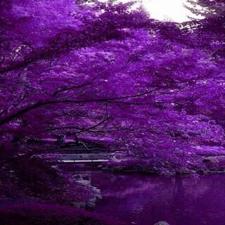 Is also beautiful