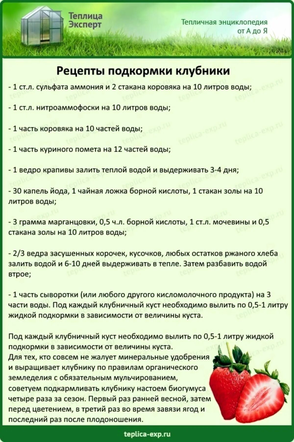 В какое время можно подкармливать. Таблица внесения удобрений для клубники. Схема удобрения клубники весной. Схема внесения удобрений для клубники. Подкормка земляники весной схема.