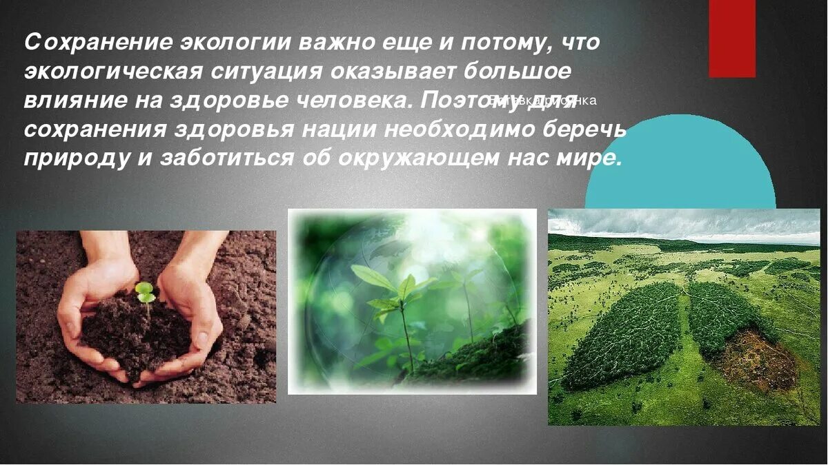 Что из перечисленного связано с экологичным образом. Экология это важно. Доклад на тему защита окружающей среды. Охрана окружающей среды важность для человечества. Презентация на тему экология.
